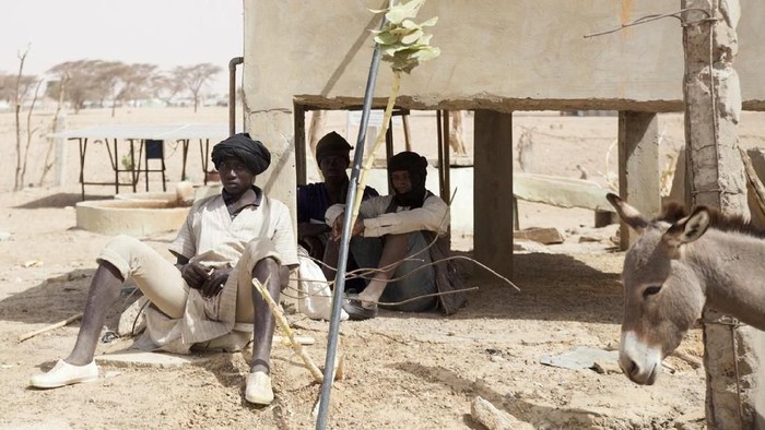 Kemarau Panjang, Hewan Ternak di Mauritania Terancam Kekeringan Perubahan iklim yang tidak stabil semakin memperparah kehidupan masyarakat Mauritania. Krisis pangan yang serius dialami manusia dan juga hewan ternak disana.