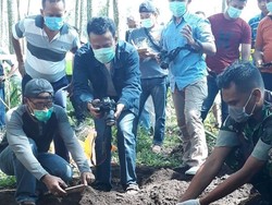 Diduga Lemas, Penyebab Kematian Mayat yang Dikubur di Lahan Sengon