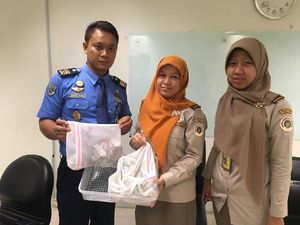 Ini Ular dan Kadal yang Diselundupkan WN Jepang via Bandara Soetta