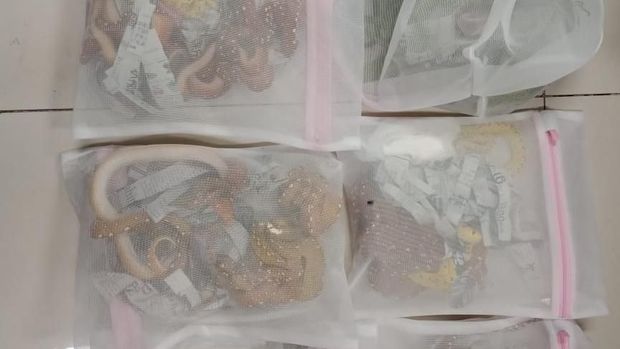 WN Jepang Tepergok Selundupkan Ular dan Kadal di Bandara Soetta