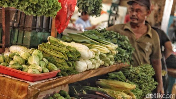 Ilustrasi cara menyimpan sayur 