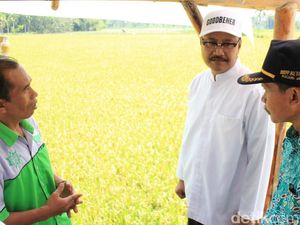 Gus Ipul Dorong Pertanian Organik Jadi Basis Desa Wisata