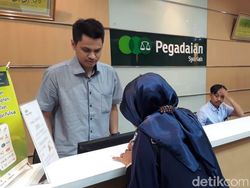 PT Pegadaian Buka Lowongan Kerja untuk Lulusan S1, Ini Posisi yang Tersedia