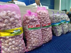 Foto: Bawang Putih Impor Ilegal yang Disita Bareskrim Polri