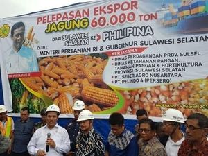 Kementan Klaim RI Sudah Siap Jadi Eksportir Jagung