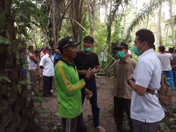 Bayi Laki-Laki Tanpa Kepala Ditemukan Warga Jambi di Kebun Sawit