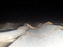 Abu Erupsi Gunung Merapi Sampai di  Kudus dan Grobogan