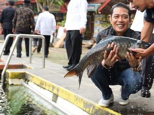 Dalam 3 Tahun, Pasar Kawasan Perdesaan Demak Beraset Rp 146 Juta