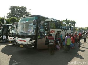 Banyuwangi Siapkan Tiga Rute Mudik Gratis, Daftar Yuk!