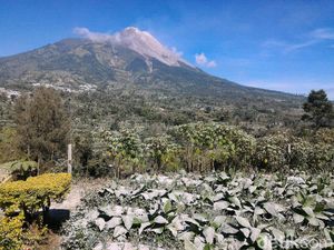 Durasi Erupsi Gunung Merapi Malam Ini 1,5 Menit