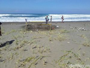 Pengakuan Pembunuh Pria Bertato yang Dikubur di Pantai Pangandaran Pengakuan Pembunuh Pria Bertato yang Dikubur di Pantai Pangandaran
