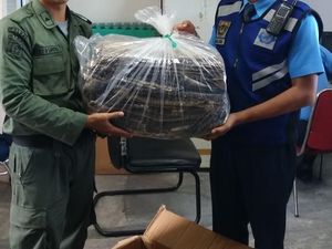 Petugas Bandara Riau Bongkar Paket Mencurigakan Berisi Kulit Ular Petugas Bandara Riau Bongkar Paket Mencurigakan Berisi Kulit Ular