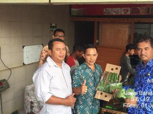 Indonesia Ekspor 3 Ton Baby Buncis ke Singapura