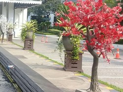 Pohon Imitasi Dipasang di Tempat yang Sama dengan 2017 Lalu