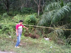 Mayat Wanita Tanpa Identitas Ditemukan di Paluta Sumut