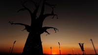 Ini sunset di Stadion Peter Mokaba, di Polokwane, Afrika Selatan saat menjadi tuan rumah Grup B Piala Dunia 2020 menjelang laga antara Yunani dan Argentina pada 22 Juni 201. (Stuart Franklin/Getty Images)