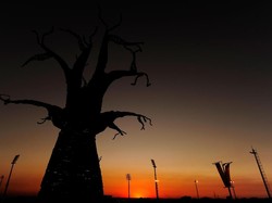 Ini sunset di Stadion Peter Mokaba, di Polokwane, Afrika Selatan saat menjadi tuan rumah Grup B Piala Dunia 2020 menjelang laga antara Yunani dan Argentina pada 22 Juni 201. (Stuart Franklin/Getty Images)