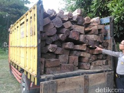 Truk Muat Kayu Hasil Curian dihentikan, Empat Orang Diamankan