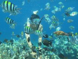 Terpesona Indahnya Alam Bawah Laut Pantai Olele di Gorontalo