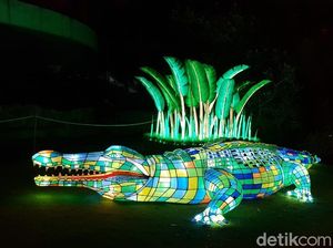 Saat Kebun Binatang di Sydney Bermandikan Cahaya, Cakep!