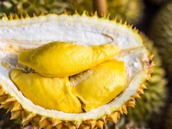 Thailand Akan Kirimkan Durian ke Luar Angkasa untuk Para Astronot