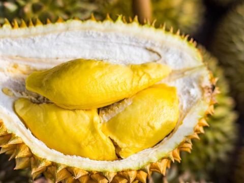 Kumpulan Pertanyaan Seputar 'Bolehkah Ibu Hamil Makan...'