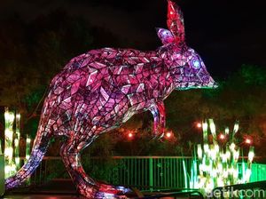 Foto: Begini Jadinya Kalau Kebun Binatang Bertabur Cahaya