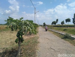 Ramadan, Sebagian Lokalisasi di Situbondo Tetap Ramai Beroperasi