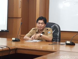 Cerita Kadis PE DKI soal Pohon Imitasi yang Bikin Anies Dibully Cerita Kadis PE DKI soal Pohon Imitasi yang Bikin Anies Dibully