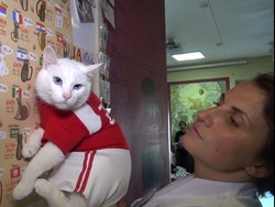 Si Imut Achilles Bersiap Ramal Pemenang Piala Dunia 2018