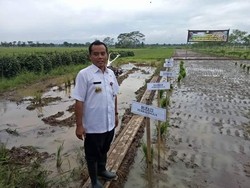 Ternyata Kode Bupati Purbalingga Saat Minta Uang: Mau Wayangan Nih!