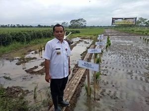 Ternyata Kode Bupati Purbalingga Saat Minta Uang: Mau Wayangan Nih! Ternyata Kode Bupati Purbalingga Saat Minta Uang: Mau Wayangan Nih!