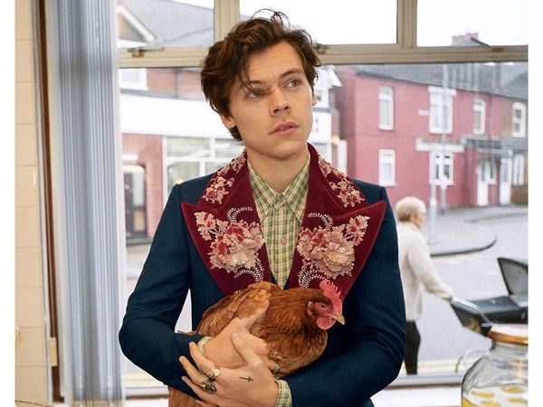Foto: Rumah Mewah Harry Styles yang Dijual Rugi Rp 84 Miliar