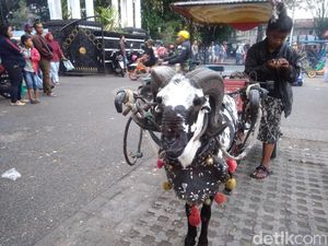 Delman Domba Jadi Primadona Warga Garut Saat Ngabuburit