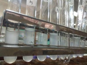 Melacak Jual Beli Formalin, Bahan Berbahaya yang Sering Dipakai di Makanan