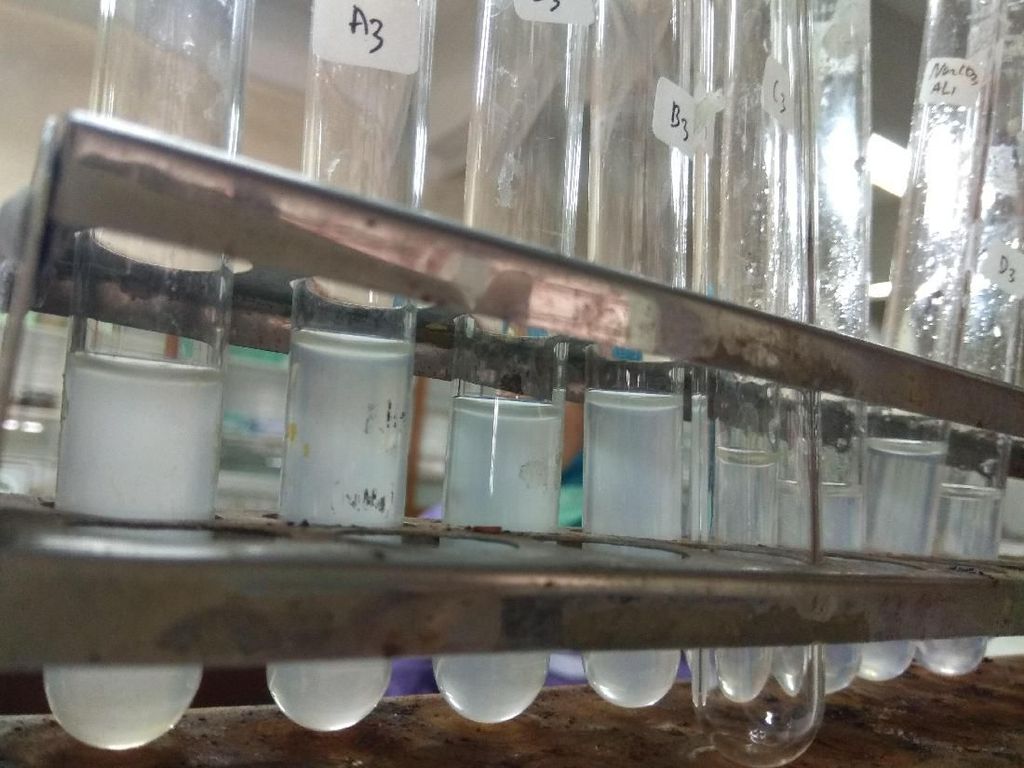 Melacak Jual Beli Formalin, Bahan Berbahaya yang Sering Dipakai di Makanan Melacak Jual Beli Formalin, Bahan Berbahaya yang Sering Dipakai di Makanan