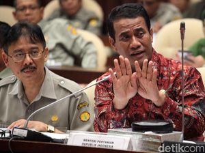 Jelang Lebaran, Mentan dan DPR Bahas Bahan Pokok