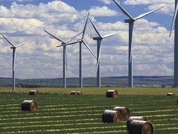 Negara-negara Ini Sukses Tinggalkan BBM, Indonesia Kapan?