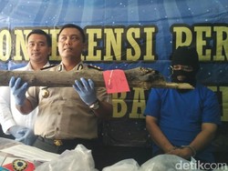 Ini Dia Kayu yang Dipakai Pelaku Untuk Habisi Nyawa Jumiyati