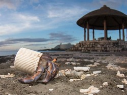 World Environment Day 2018: Hindari Polusinya, Bukan Plastiknya