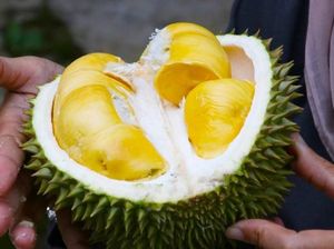 Heboh Bau Durian di Sriwijaya Air