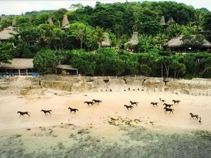 Nihi Sumba, Resor Tempat Nikahnya Kakak Tiri Kendall Jenner Nihi Sumba, Resor Tempat Nikahnya Kakak Tiri Kendall Jenner