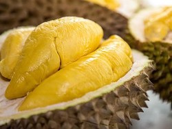 Ibu Menyusui Hendak Makan Durian? Perhatikan Dulu Hal Ini