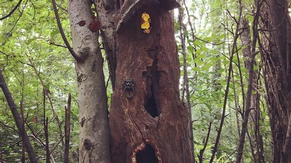 Foto: Apakah Ini Rumah Peri?