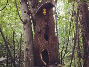 Foto: Apakah Ini Rumah Peri?