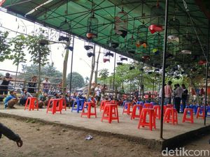 Latber, Ngabuburit ala Pecinta Burung Berkicau di Jember