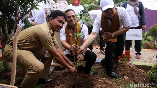 PLN Tanam Pohon untuk Peringati Hari Lingkungan Hidup