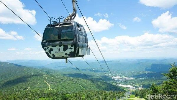 Negara Bagian Amerika Ini Kurang Orang, Pindah Ke Sana Dibayar