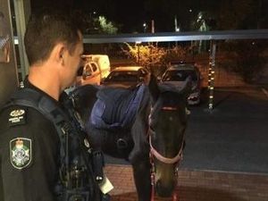 Wanita Ini Ditangkap karena Mabuk Saat Tunggangi Kuda