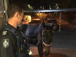 Wanita Ini Ditangkap karena Mabuk Saat Tunggangi Kuda